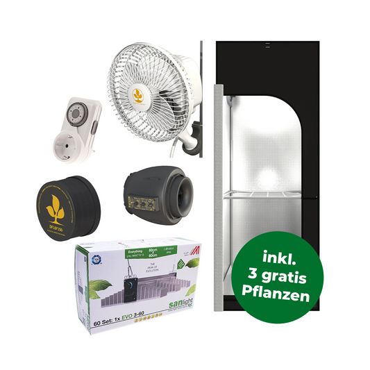 Komplettes Growzelt-Set mit einem Zelt, Extraktor, Filter, Zeitschaltuhr, LED Beleuchtung und Ventilator und einem grünen Störer mit der Info dass es drei gratis Pflanzen dazu gibt.