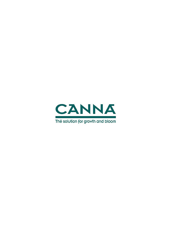 Logo vom Unternehmen Canna. Zweizeilige Aufschrift in der Farbe Türkis. Zwischen den Zeilen ist eine Linie.
