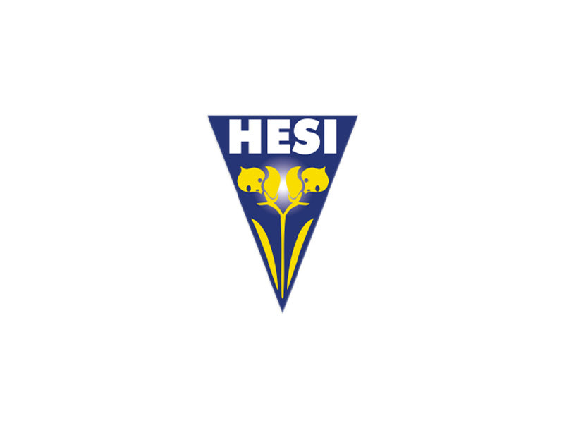 Logo von der Marke HESI. Blaues Dreieck zeigt mit der Spitze nach unten. Weißer Schriftzug in Großbuchstaben und eine gelbe Grafik darunter.