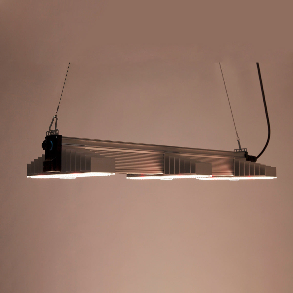 LED Growlampe für höchste Beleuchtungsintensität mit drei länglichen, schmalen Lampen mit integrierten LEDs. Hängeleuchte zur Förderung des Pflanzenwachstums. Das Bild zeigt die LED Growlampe, wie sie in dunkler Umgebung leuchtet.