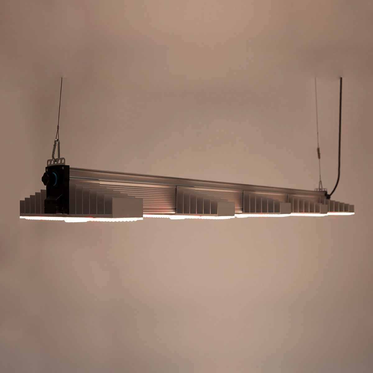 LED Growlampe für höchste Beleuchtungsintensität mit fünf länglichen, schmalen Lampen mit integrierten LEDs. Hängeleuchte zur Förderung des Pflanzenwachstums. Das Bild zeigt die LED Growlampe, wie sie in dunkler Umgebung leuchtet.