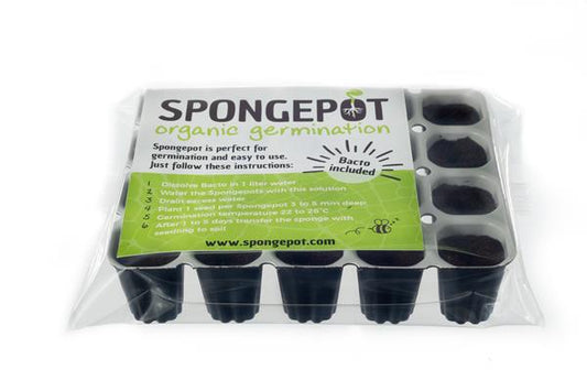Spongepot - Tray for 20 seeds