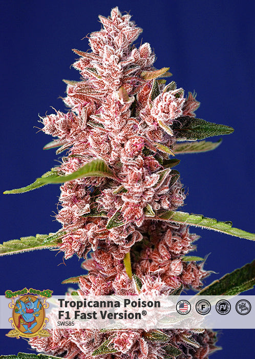 Tropicanna Poison