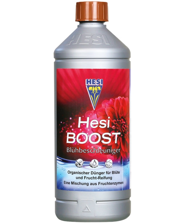 Hesi Boost