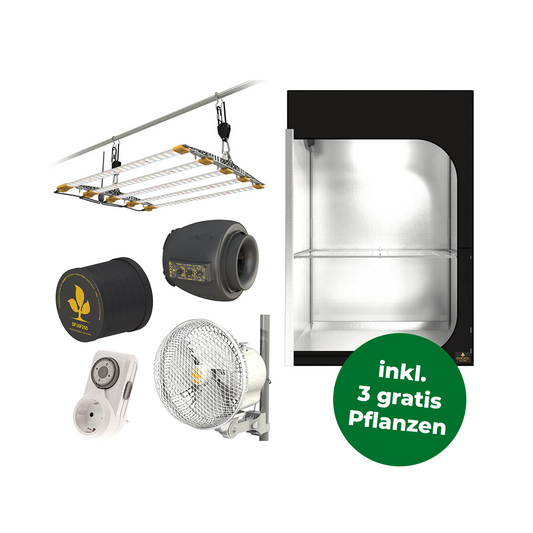 Komplettes Growzelt Set mit Zelt, Extraktor, Filter, Ventilator, Zeitschaltuhr und LED Beleuchtung. Rechts unten ist ein grüner Störer mit der Info, dass es drei gratis Pflanzen zum Set gibt.