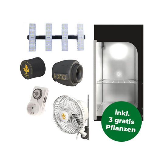 Komplettes Growzelt-Set mit einem Zelt, Extraktor, Filter, Zeitschaltuhr, LED Beleuchtung und Ventilator und einem grünen Störer mit der Info dass es drei gratis Pflanzen dazu gibt.