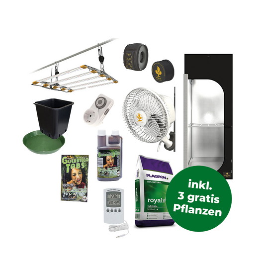 Komplettes Home Grow Set mit einem Growzelt, Ventilator, Dünger von Plagron, Guerrilla Tabs und Guerrilla Juice, Topf und Topfuntersetzer, LED Beleuchtung mit fünf Leisten, Extraktor und Filter, einer Zeitschaltuhr und einem Thermometer. Rechts unten in einem grünen Störer steht die Information, dass es zum Set drei Pflanzen gratis dazu gibt.