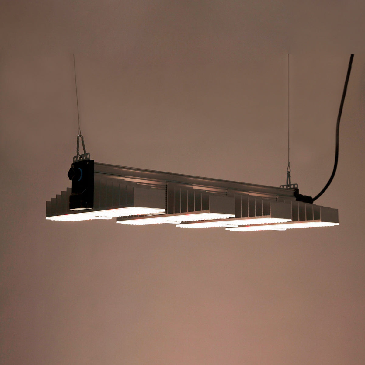 LED Growlampe für höchste Beleuchtungsintensität mit vier länglichen, schmalen Lampen mit integrierten LEDs. Hängeleuchte zur Förderung des Pflanzenwachstums. Das Bild zeigt die LED Growlampe, wie sie in dunkler Umgebung leuchtet.