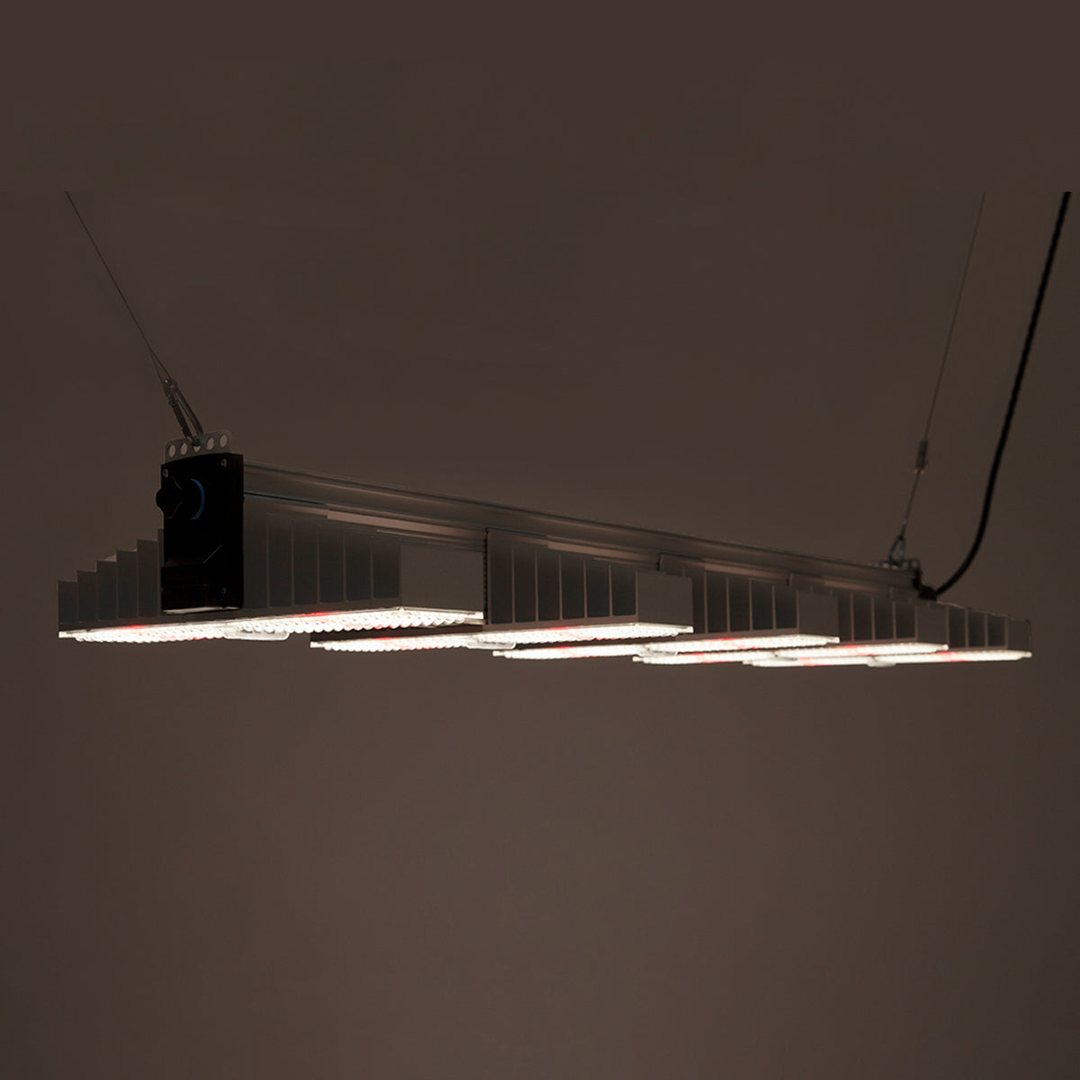 LED Growlampe für höchste Beleuchtungsintensität mit fünf länglichen, schmalen Lichtleisten mit integrierten LEDs. Hängeleuchte zur Förderung des Pflanzenwachstums. Das Bild zeigt die LED Growlampe, wie sie in dunkler Umgebung leuchtet.